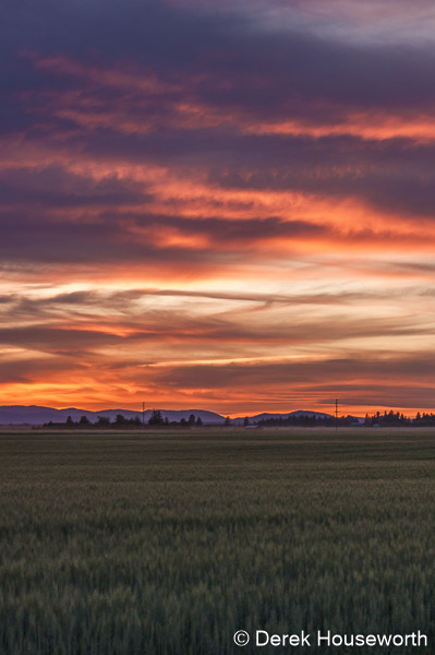 Sunset Fields