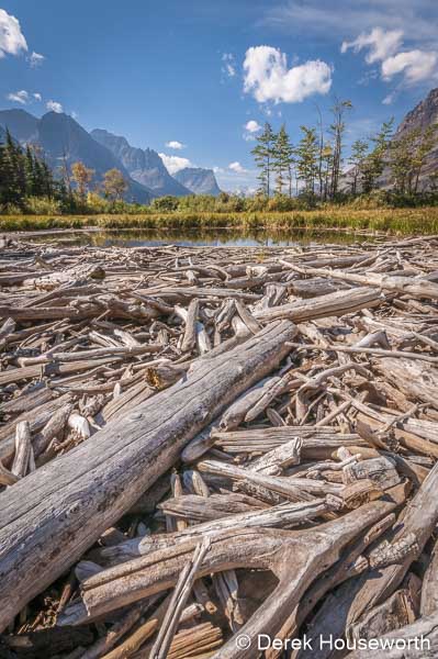 Driftwood